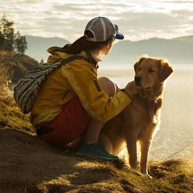 Hiking with the doggo