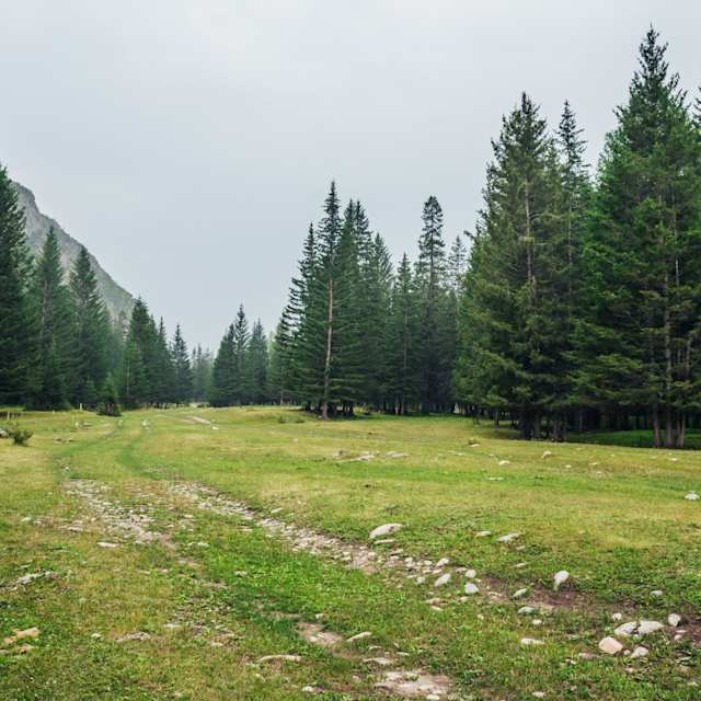 Mountains
