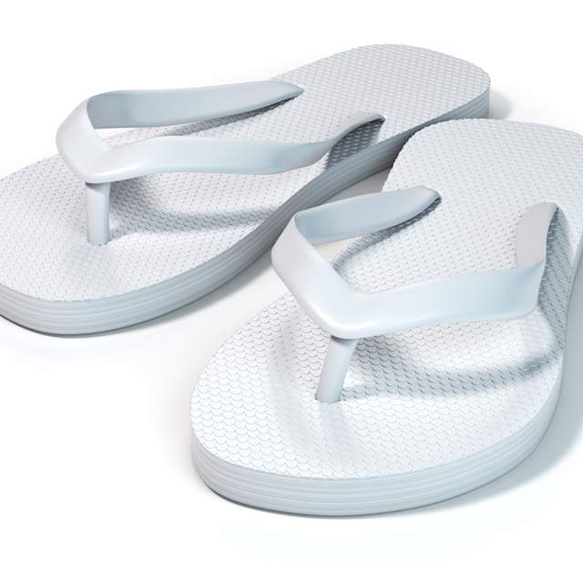 Flip Flops