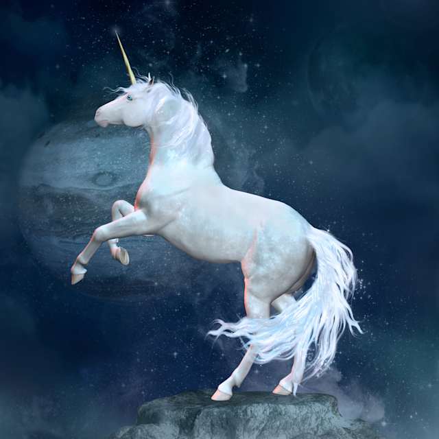 Unicorn