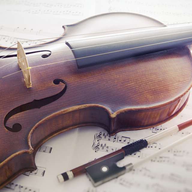 Violin 