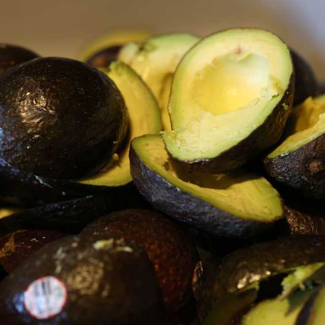 Avocado