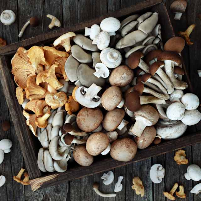 Mushroom 