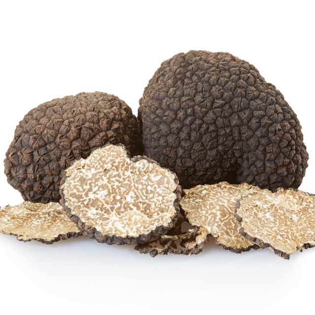 Black Truffle 