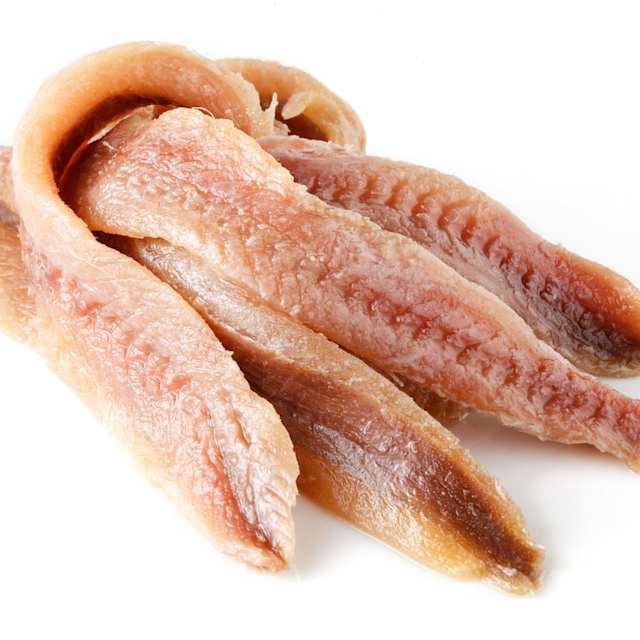 Anchovy 
