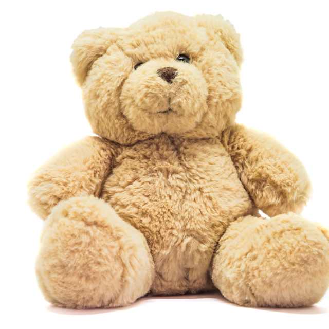 Teddy Bear 