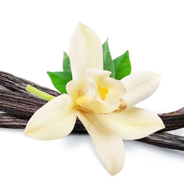 Vanilla 