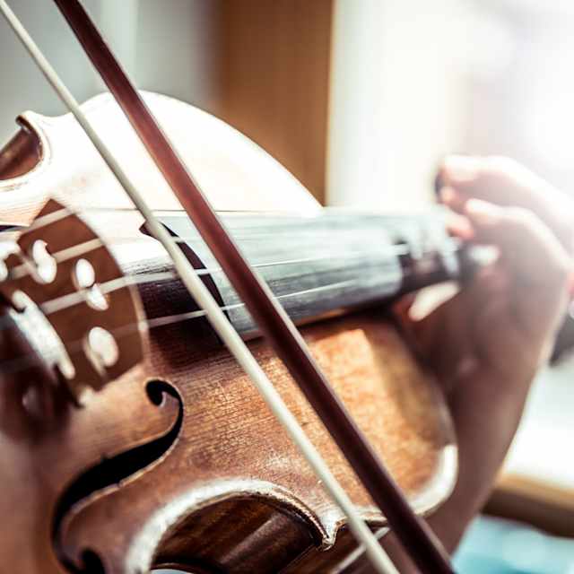Violin 