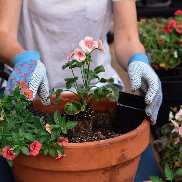 Gardening 