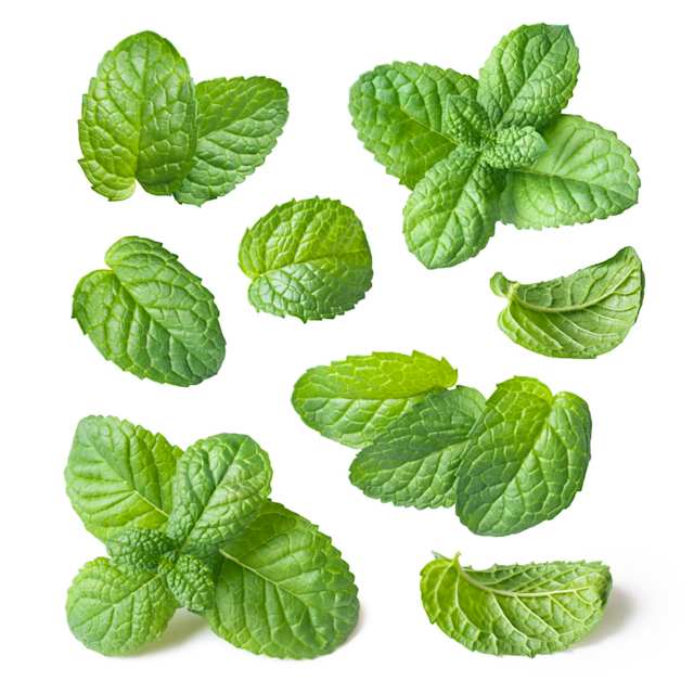Mint 