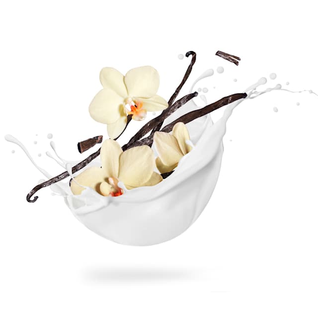 Vanilla 