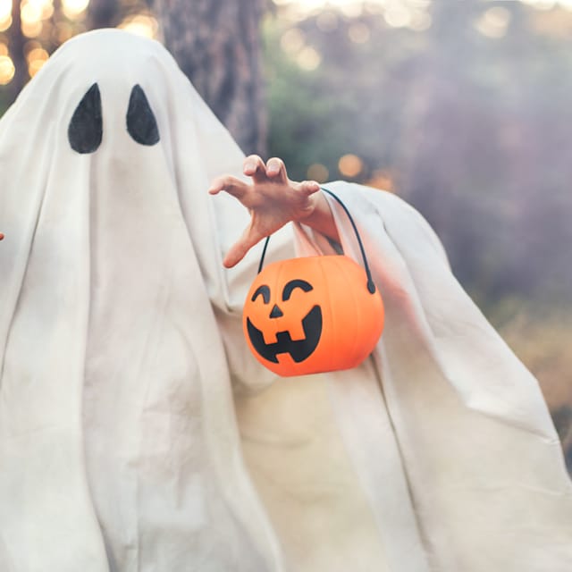 Ghost 