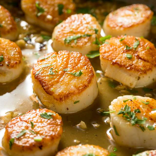 Scallops 