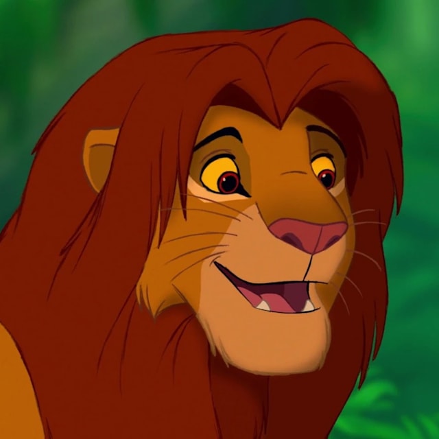 Simba 