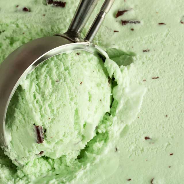 Mint Chocolate Chip Ice Cream 