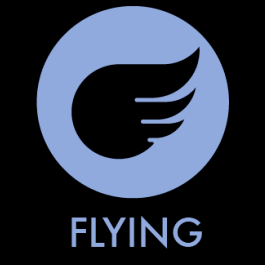 Flying Type Pokémon Symbol