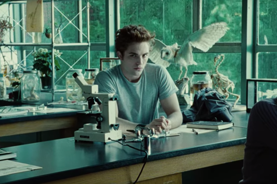 QUIZ: Only a Twilight expert can tell which movie these scenes are from