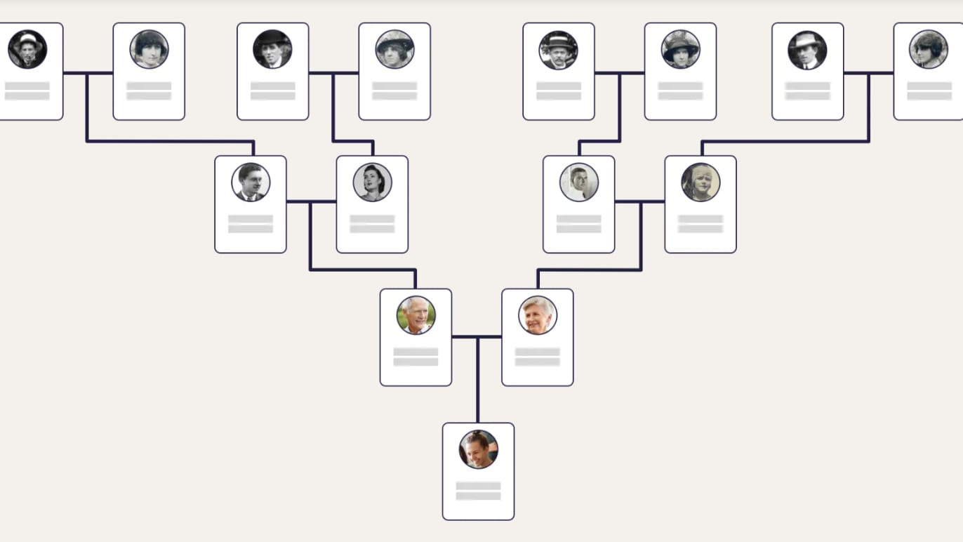 Family Tree Family Tree