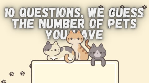 what pet should i get quiz playbuzz