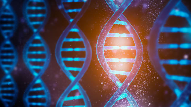 Surprising facts about human DNA that you likely didn't know