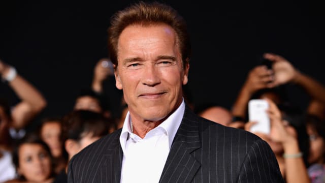 D o you remember Arnold  Schwarzenegger's political role in 'The Golden State?' 
