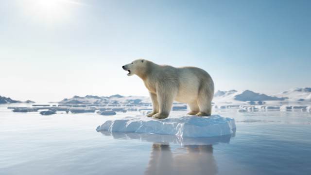 Climate change is a complicated scientific issue. Are you up to date on all facts and information? Get a 8/10 on this quiz to prove you're a real environmental champion. 