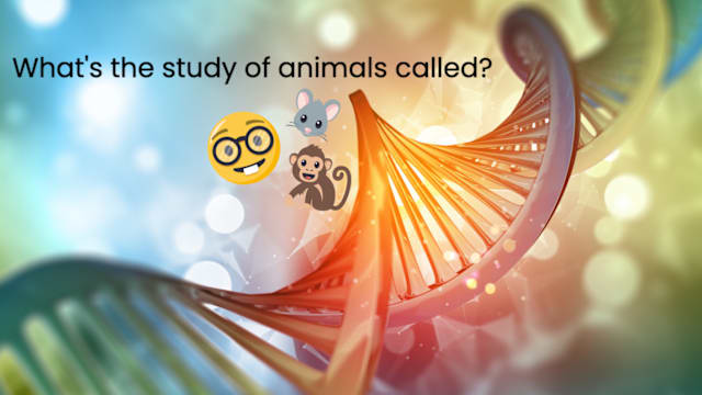 Re-Test Your Biology Knowledge