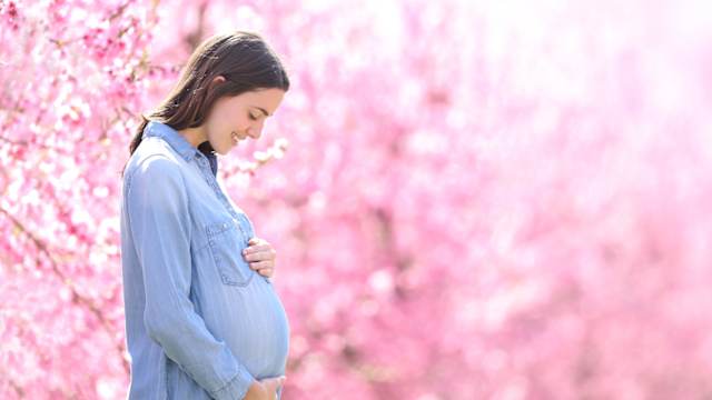 How Many Kids Are You Going To Have?