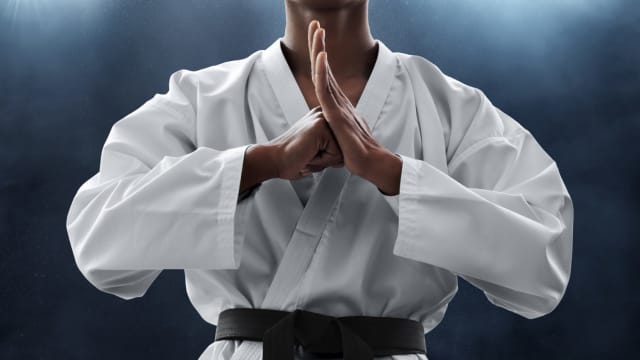 If you do not know the difference between Judo and Tae Kwon Do, it is time you learn. This quiz will help you choose which Martial Arts is Right for you. 