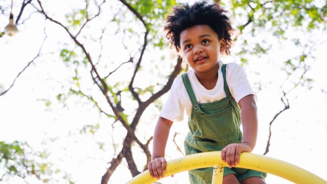 The playground for kids is a fun place for children to be active and playful. There are many different types of playground equipment that kids love to play with. Here we list the 3 most used playground equipment. 