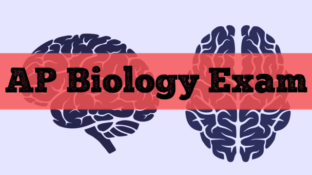 The questions in this biology quiz are taken from the AP Biology Exam. Only 1.5% of takers get a perfect score. Can you beat these odds? You'll get instant results either way! 