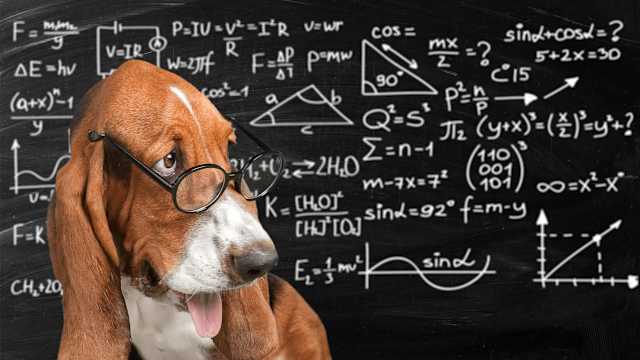 Only super math geniuses can quickly solve these mental math problems. And here we go! 