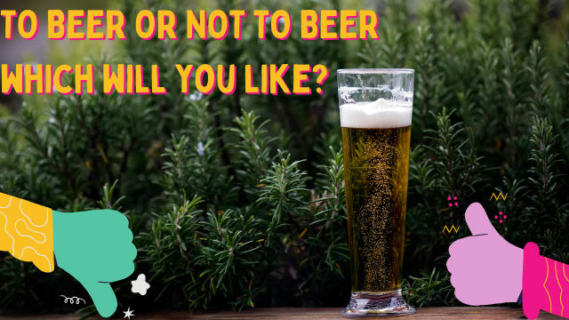 Not a fan of the classic taste of beer? Before you pass on them all together, here's a list of beers you should give a try!  