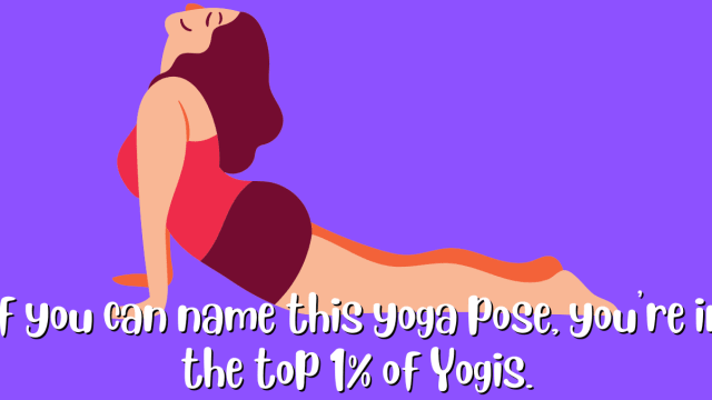 Will one yogi photo give it away? 