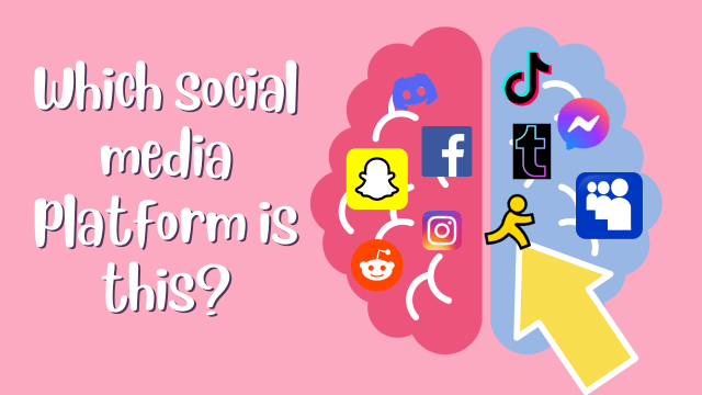 How much do you truly know about social media?! Let's find out now... 