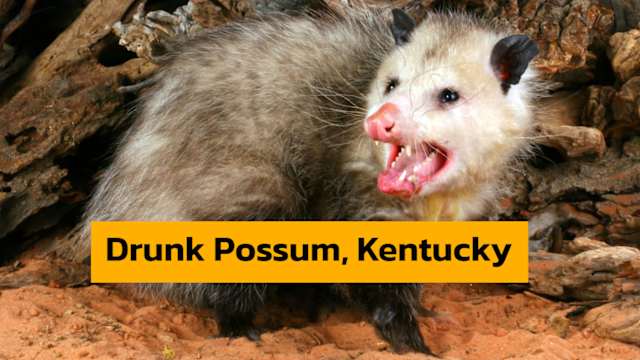 Can you tell which funny-sounding names are real towns and which are totally fake? 