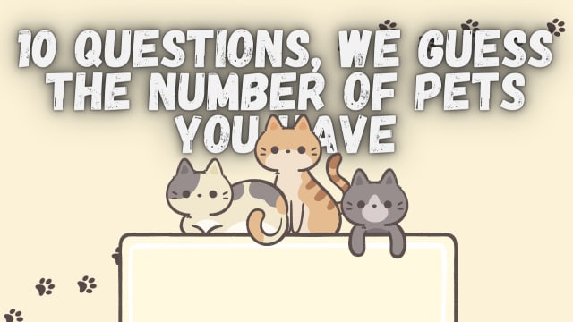 In just 10 simple questions, we can easily guess how many pets you have!  