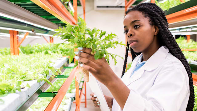 Are you part of the group that can score high on this food science quiz? How much do you know about the science behind the food? 