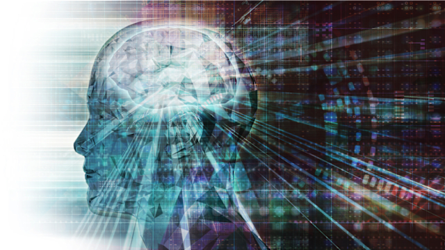 The brain is probably the most complex structure in the human body and everything is connected to it! Let's see if you can pass this neuroscience quiz? 