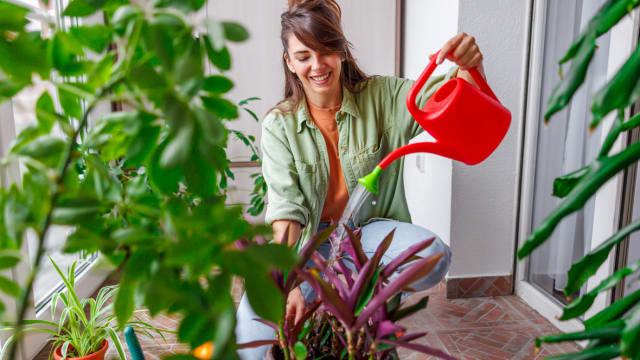 Get ready to get your hands dirty and discover if there’s a green thumb within you. 