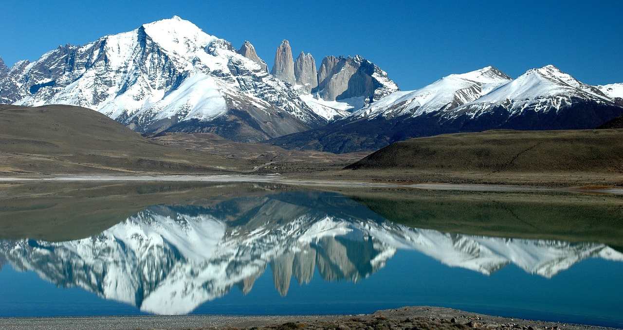 Patagonia refugio de vida y biodiversidad