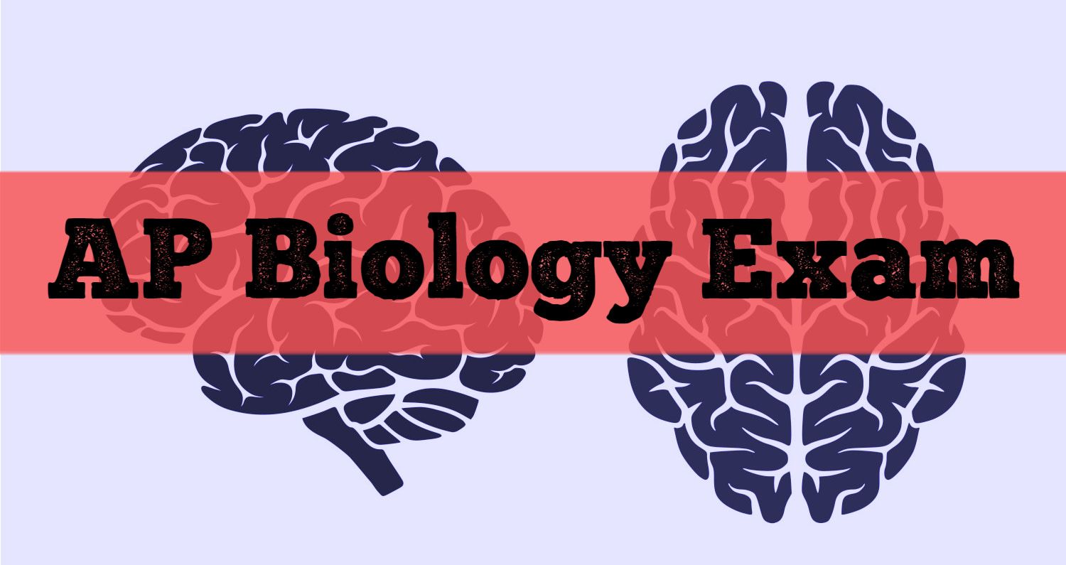 Basic Biology Test: Can You Pass An Biology Exam?