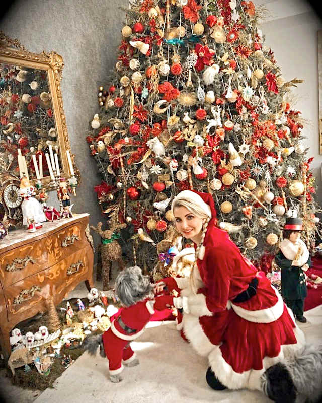 2018. El aroma de los pinos naturales le fascina, sin embargo, con la noticia de que estos podían tener garrapatas, portadoras de la enfermedad de Lyme, fue el último año que eligió uno.