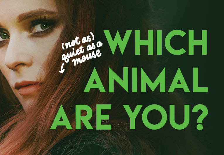 which-animal-matches-your-personality