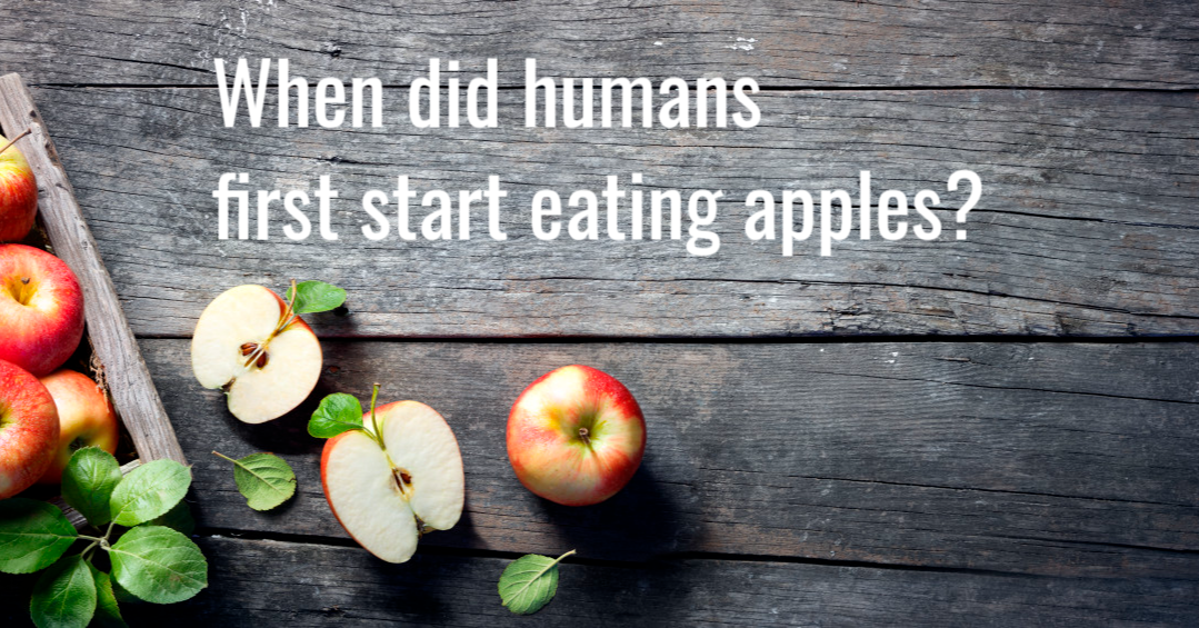 an-apple-a-day-test-your-apple-knowledge