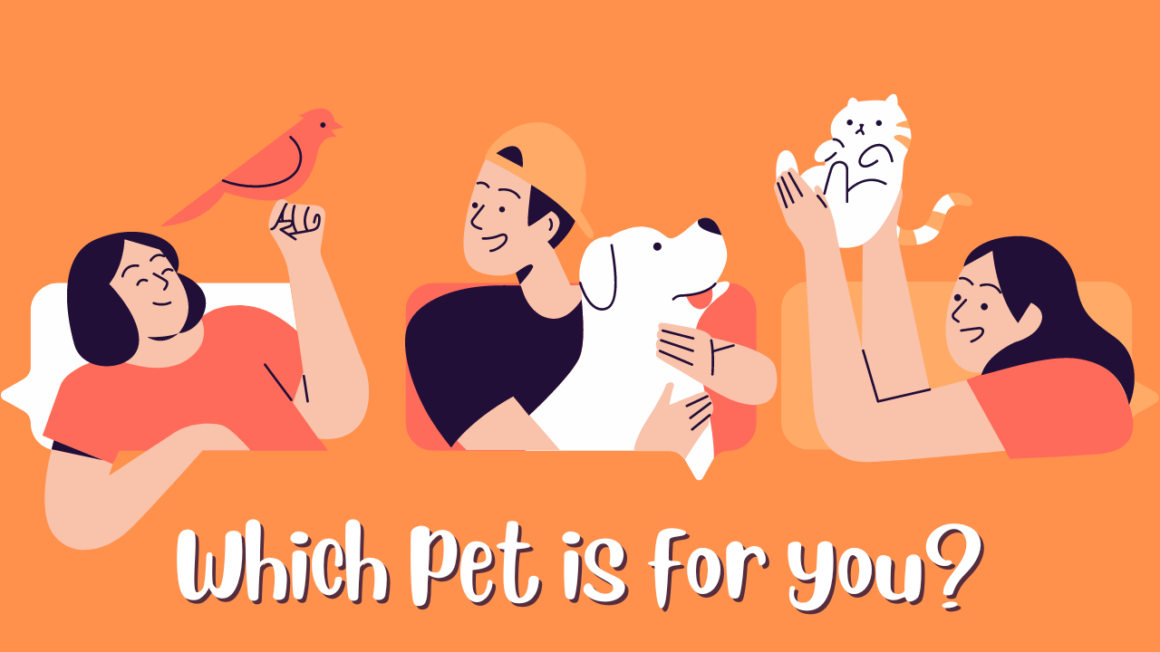 What Kind of Pet is Best for Your Unique Lifestyle?