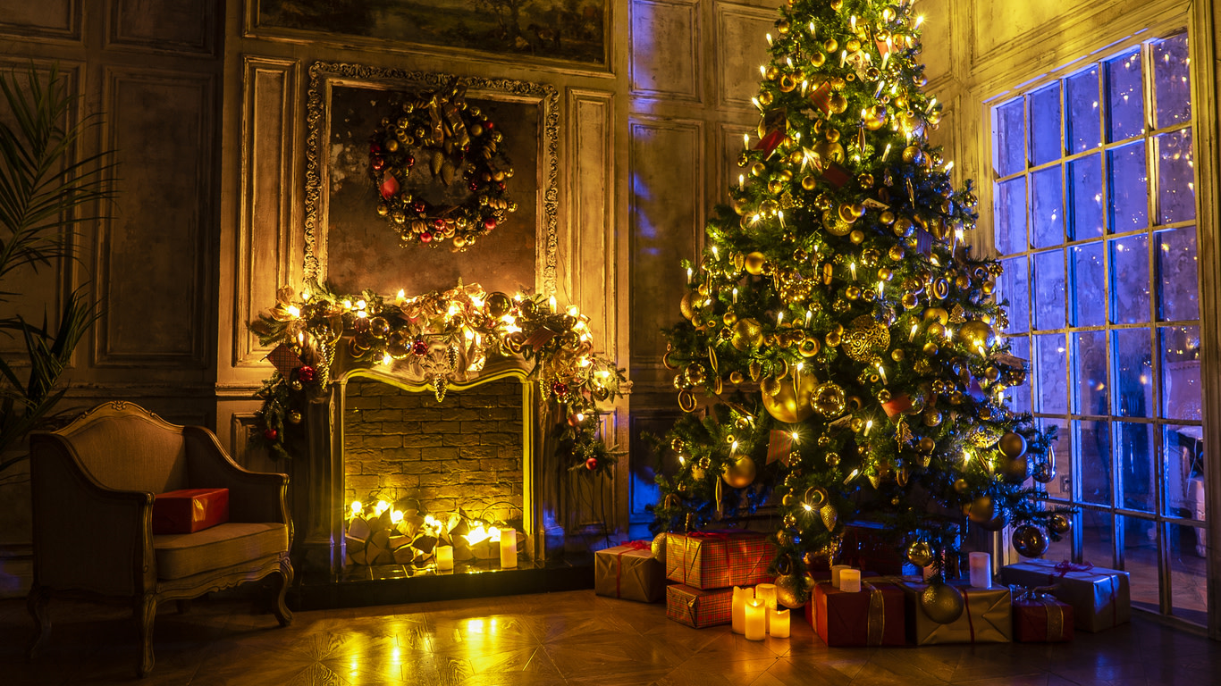 What Type of Christmas Tree Should You Get This Year?